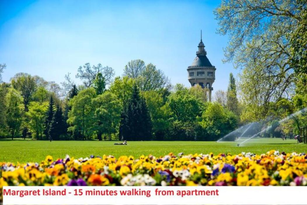 Full Danube -castle Panorama Classic Appartement Budapest